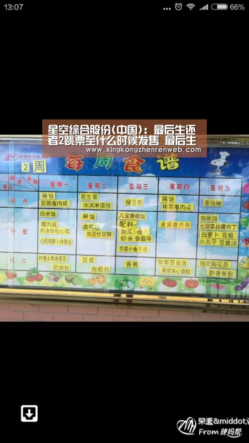 星空综合股份(中国):最后生还者2跳票至什么时候发售 最后生还者2跳票发售日期(图2) 星空综合股份(中国)